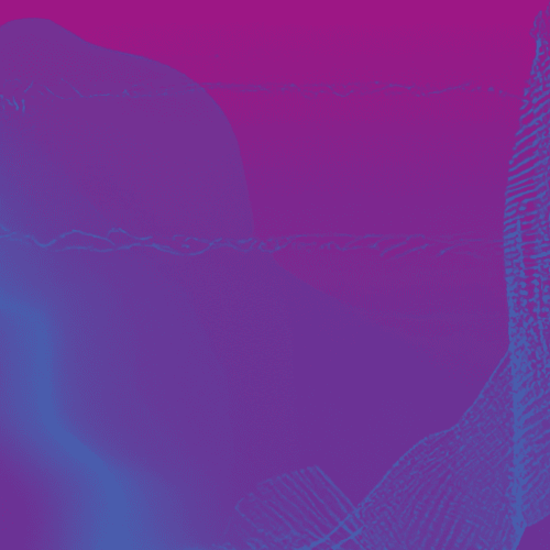 Investigación global sobre pobreza en tiempos digitales: el papel de la interpretación simultánea remota